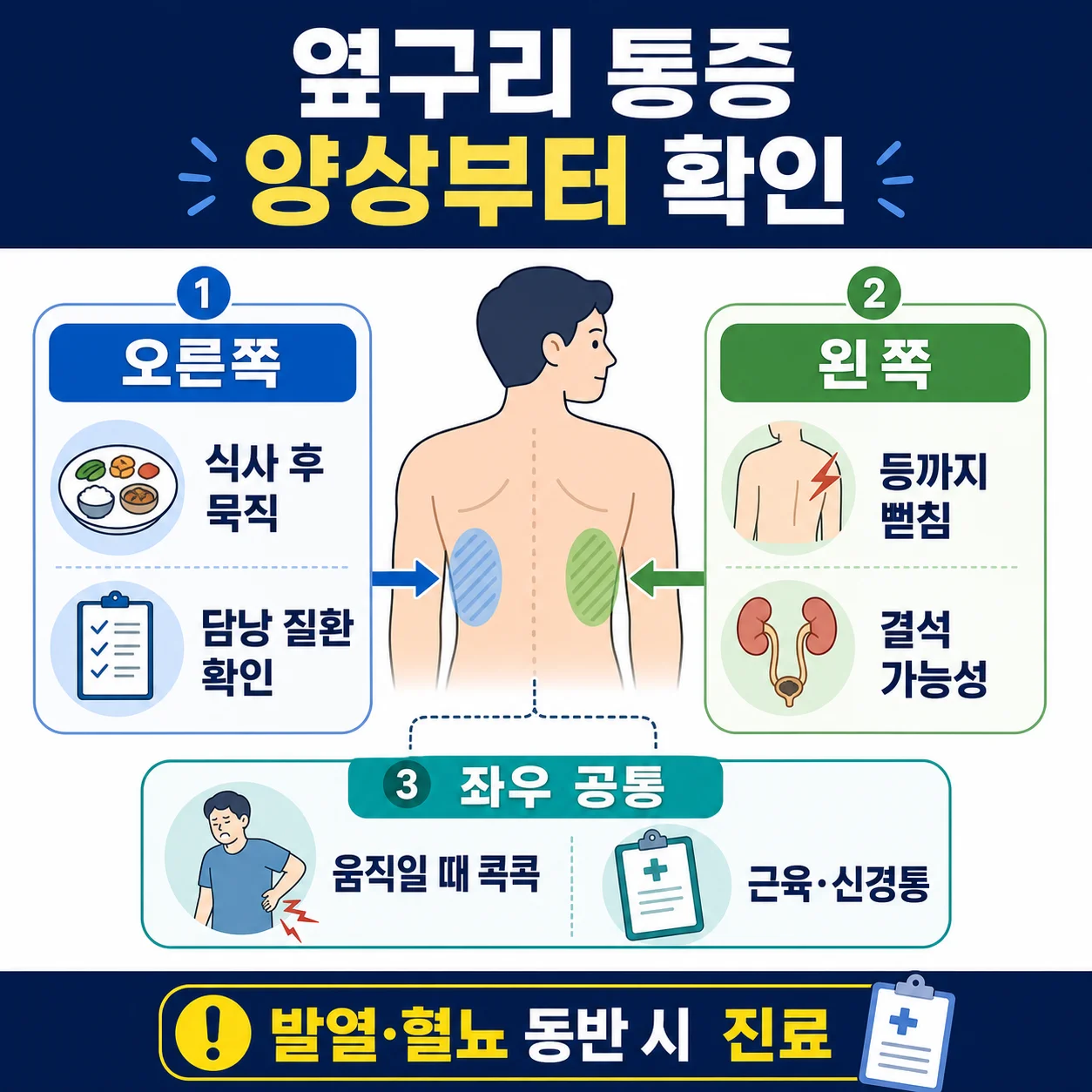 옆구리 통증 위치와 양상으로 원인을 구분하는 이미지